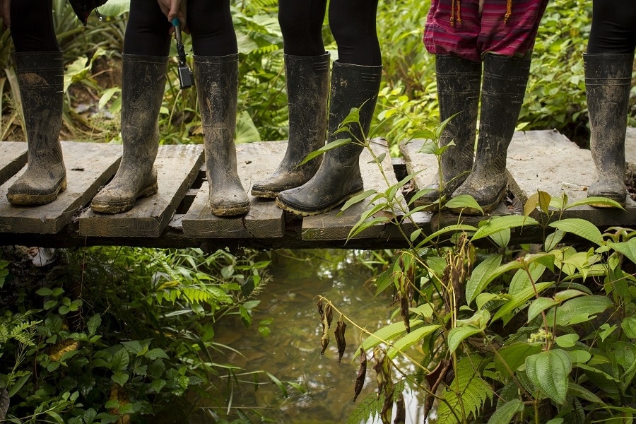 boa constrictor boots