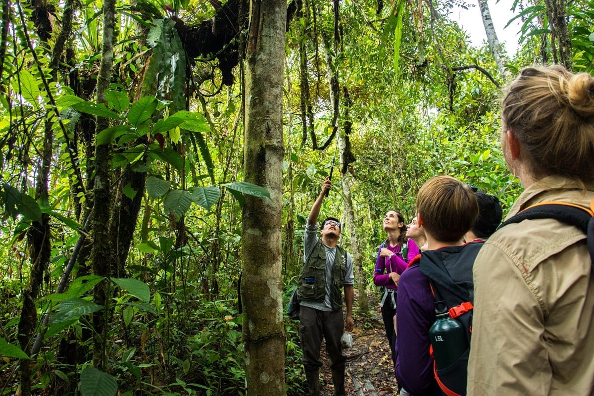 Discover Conservation Volunteering in the Amazon Rainforest